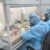 Японские ученые выявили самый опасный штамм коронавируса