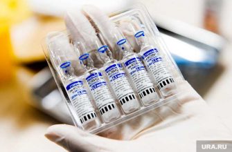 губернаторы