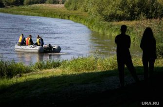 происшествия